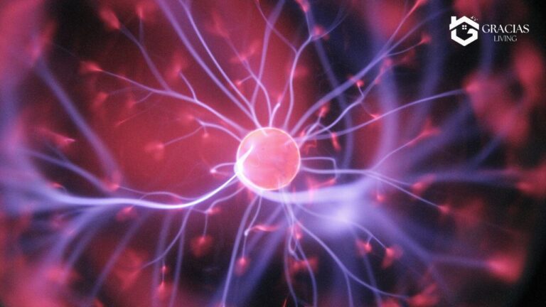 Stages of Dementia: How Dementia Progresses